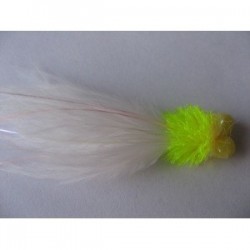 cabbage cat longtail booby