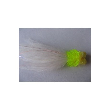 cabbage cat longtail booby