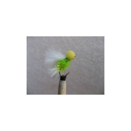 cat yellow eyes booby