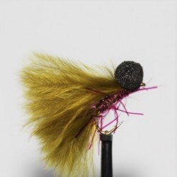 claret straggle booby