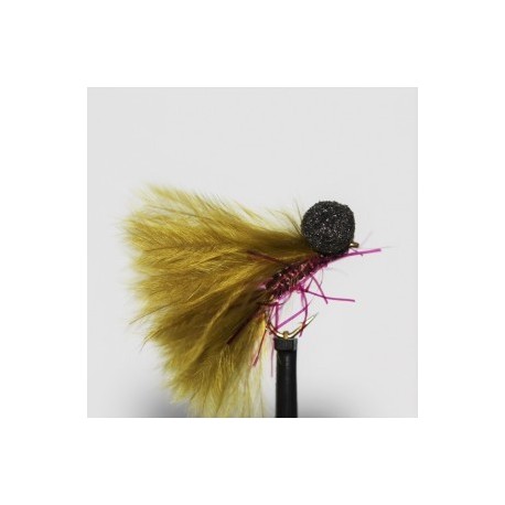 claret straggle booby