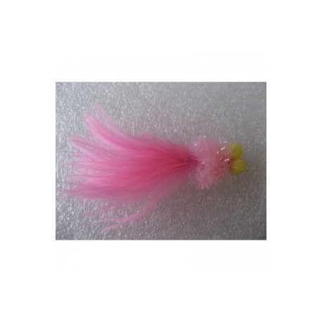 coral longtailed booby