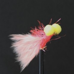 coral straggle booby