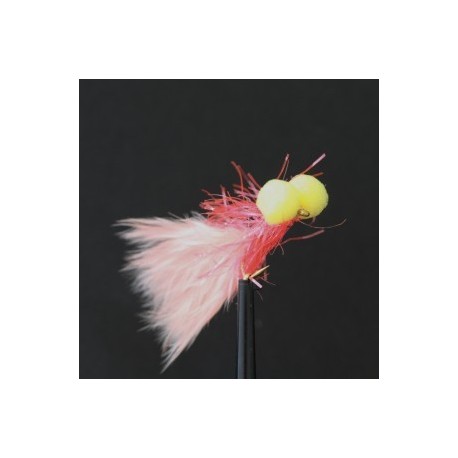 coral straggle booby