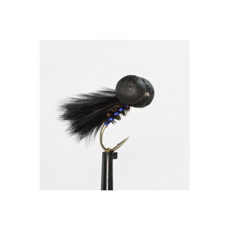 cormorant holo neon booby