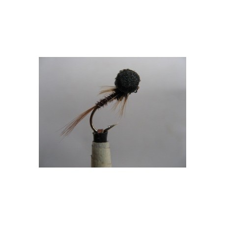 cruncher standard booby