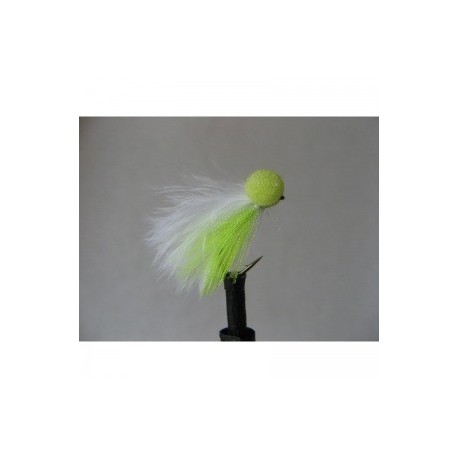 green boy elite booby