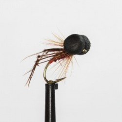 hopper claret red butt booby