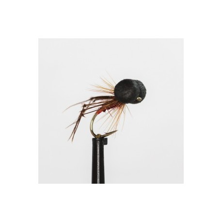 hopper claret red butt booby