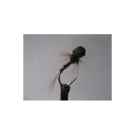 ians holo neon cruncher booby