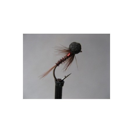 ians holo red cruncher booby