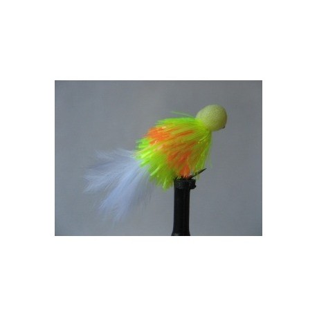 ians rocket jelly booby