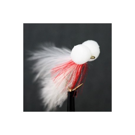 jacque frost elite booby