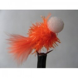 orange mini bite booby