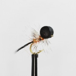 orange sparkle booby