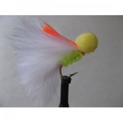 orange splat cat booby