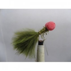 red brite damsel booby