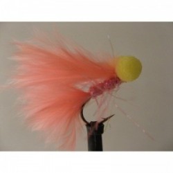 rhubarb and custard booby