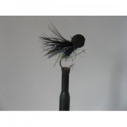 uv black green butt booby