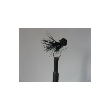 uv black green butt booby