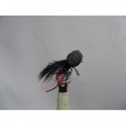 uv black red butt booby