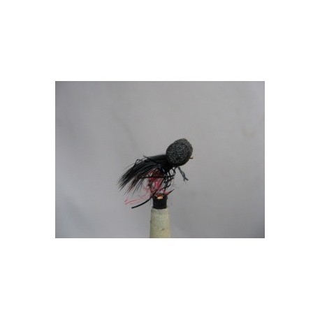 uv black red butt booby