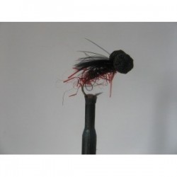 uv claret red butt booby