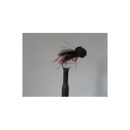 uv claret red butt booby