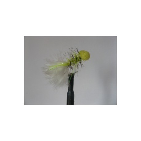 uv grizzle cat booby