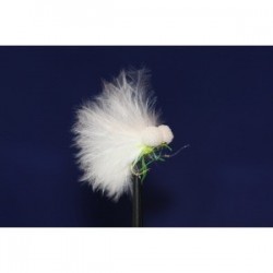 uv marabou cat mini bite booby