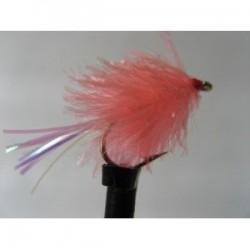 coral flashtail blob