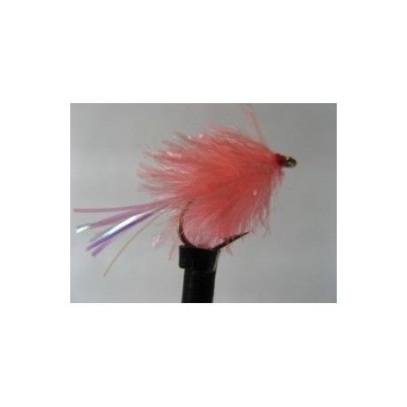 coral flashtail blob