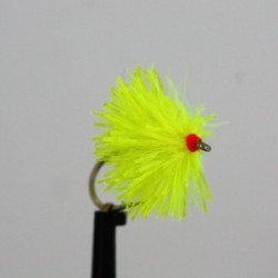 fl yellow stinger