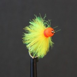 sunburst and yellow mix