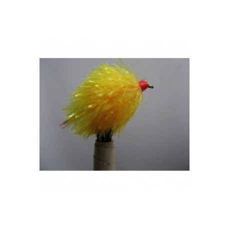 sunburst flashtail blob