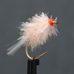 uv biscuit midget gem