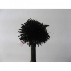 uv black flashtail blob