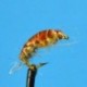 Bead Head Czech Nymph Orange Back