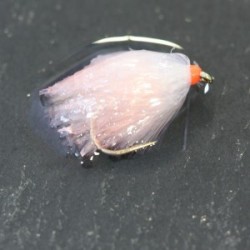 white coral milk shake jelly blob