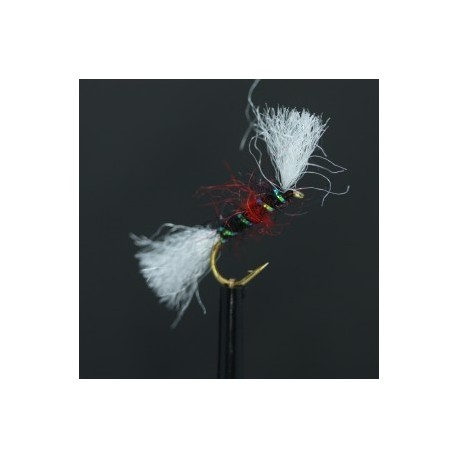 bibio emerger