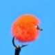Bead Head Egg Orange
