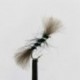 Black Buzzer