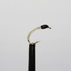 black holo blue pinhead buzzer