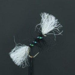 black lime pinhead buzzer