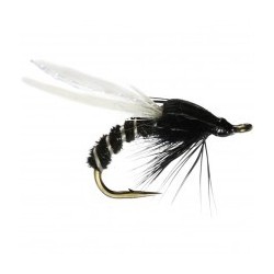 black orange anorexic okey dokey