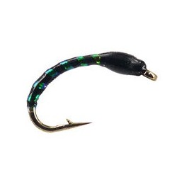 black orange pinhead buzzer