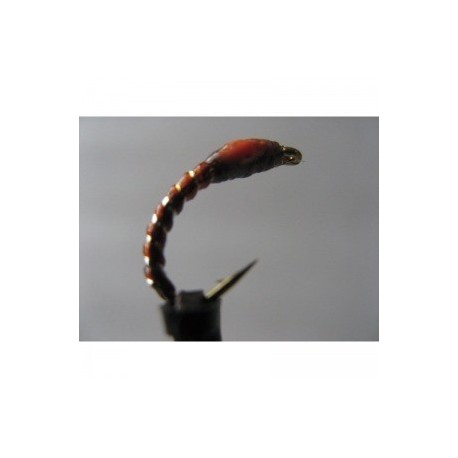 brown shipmans buzzer