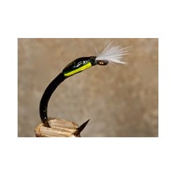 Buzzer Quill Olive
