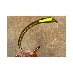 Buzzer Sugar Cube Orange