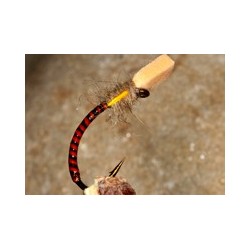 Buzzer Turkey Biot Tam